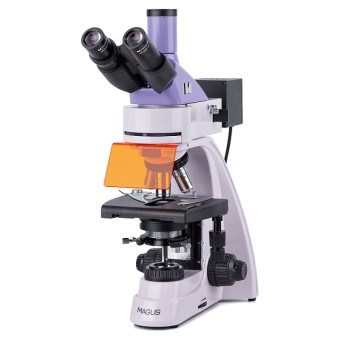 Микроскоп люминесцентный MAGUS Lum 400L Микроскоп люминесцентный MAGUS Lum 400L