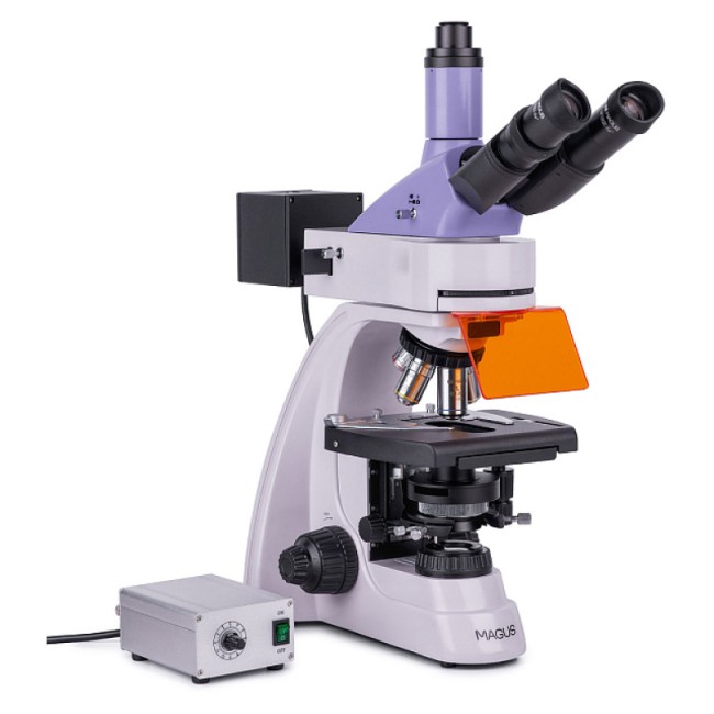 Микроскоп люминесцентный MAGUS Lum 400L Микроскоп люминесцентный MAGUS Lum 400L