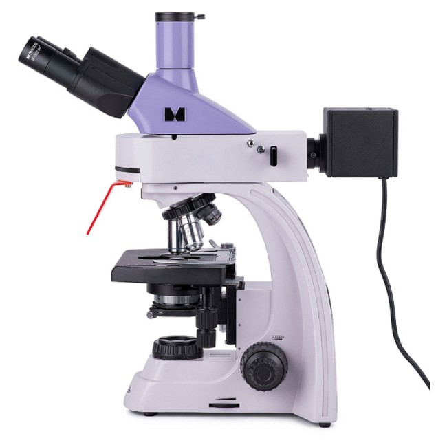 Микроскоп люминесцентный MAGUS Lum 400L Микроскоп люминесцентный MAGUS Lum 400L