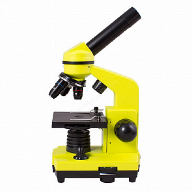 Микроскоп Levenhuk Rainbow 2L Lime (Лайм) Микроскоп Levenhuk Rainbow 2L Lime (Лайм)